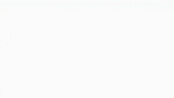 Empty white image canvas