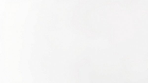 Blank white image canvas