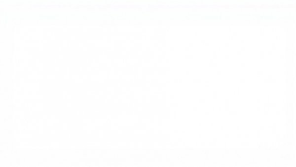 White background in America.