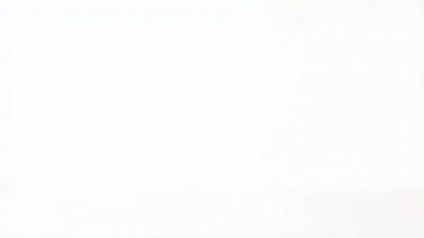 Minimalist white background for Virginia congressional redistricting.