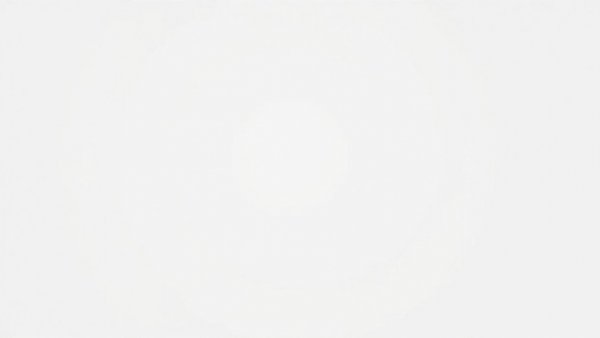 Blank white image with no visible content.