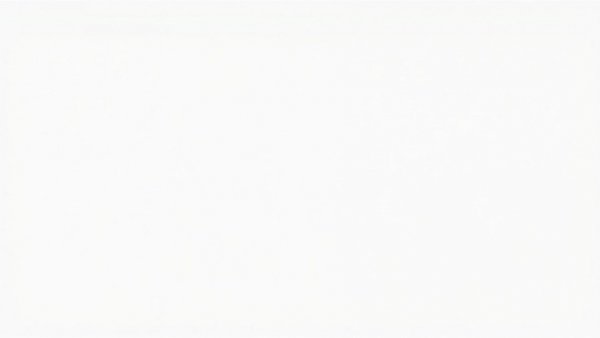 Blank white image representing Virginia redistricting plan concept