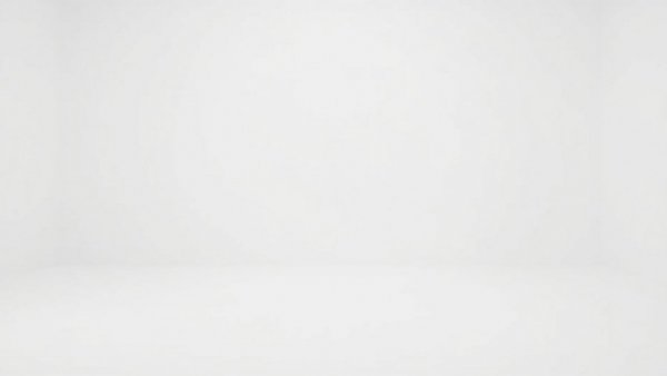 Empty white space representing paused action or inactivity.