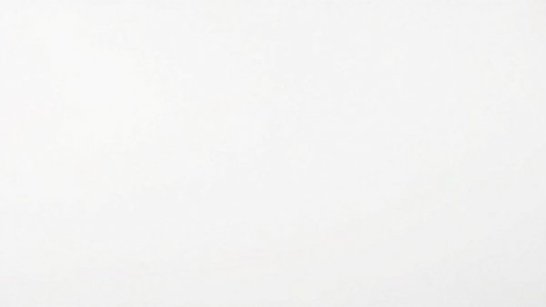 Blank image representing absence, without details.