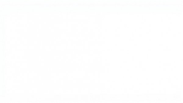 Blank white image representing empty space.