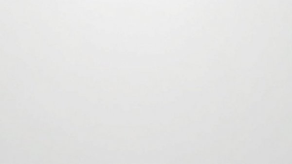 Blank white image.
