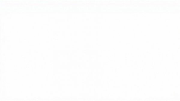 Blank white image with no content.
