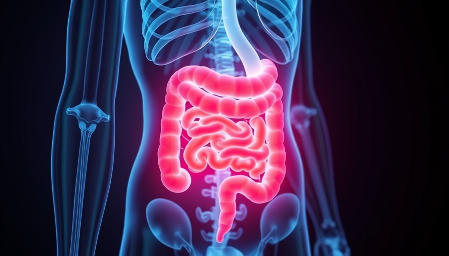 Human digestive system visualization for Reelin protein and leaky gut.