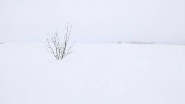 Minimalist winter scene depicting what to wear to run in the cold.