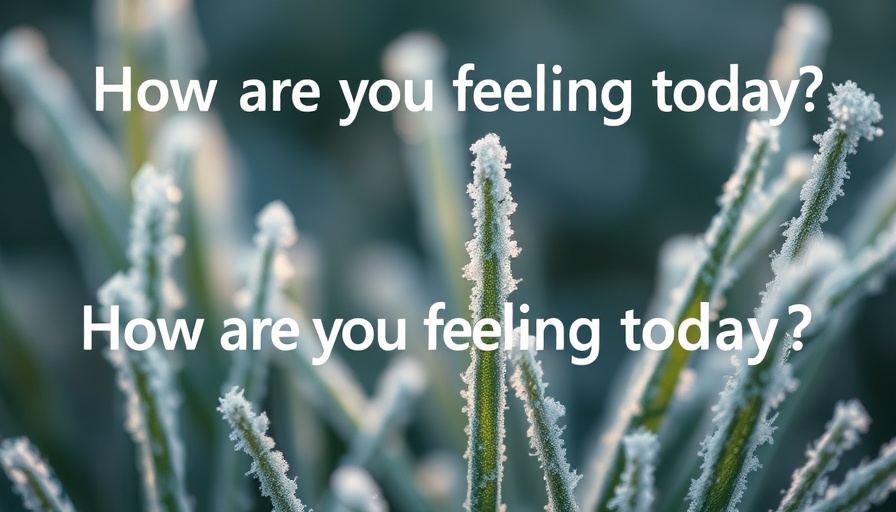 Mental health during menopause message over frosty grass.