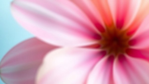 Abstract blurred flower photography with pastel colors, OpenAI GPT-5.2