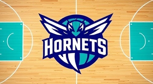 Top view of a basketball ready for tip-off at Hornets training camp, showcasing vibrant team colors.