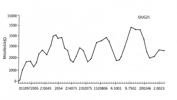 Graph showing less protein increases FGF21 and longevity markers over time.
