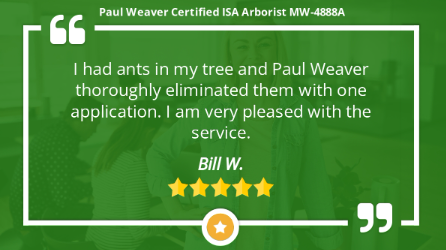 Paul Weaver Arborist Kansas City