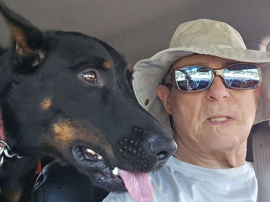 earl's K9 | kansascitydogwhisperer | 913-490-8512 | Chaos 