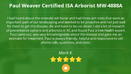 Paul Weaver Arborist Kansas City