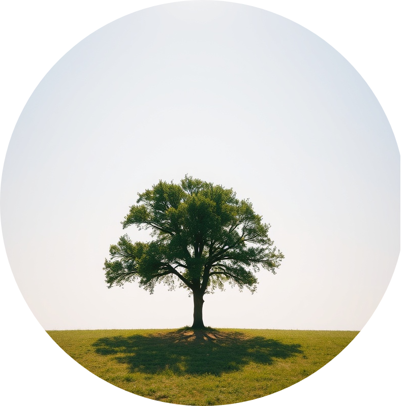 Paul Weaver Arborist Kansas City