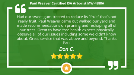 Paul Weaver Arborist Kansas City