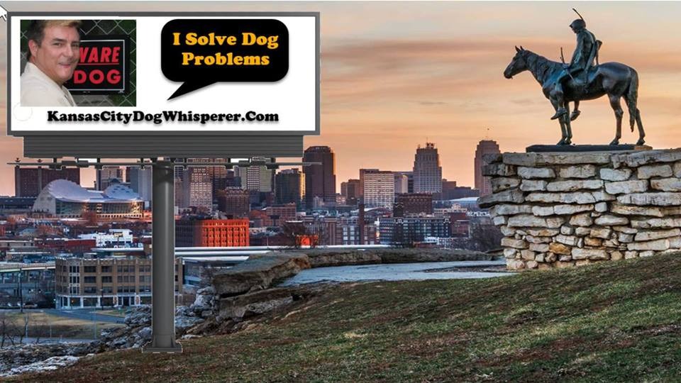 Earl's K9 Services aka The Original Kansas City Dog Whisperer