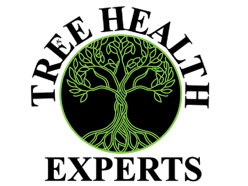 tree health experts | kansas city | paul weaver arborist | 9139338733