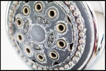 tranquil Lindyspring water, peaceful reflection, flowing gently, photorealistic, lush forest stream setting, highly detailed, calm surface tension, ISO 200, f/5, deep jade and brown tones, dappled sunlight, shot with a 35mm lens.