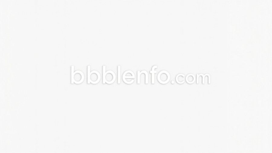 Bubbleinfo.com logo in sleek white text design.