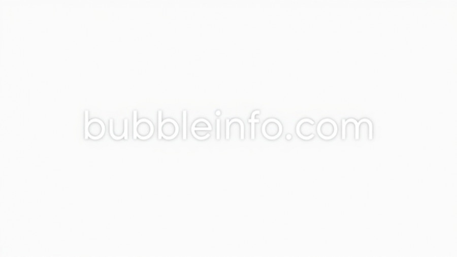 Logo of bubbleinfo.com in white text.