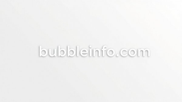 Minimalist text logo for 'bubbleinfo.com'.