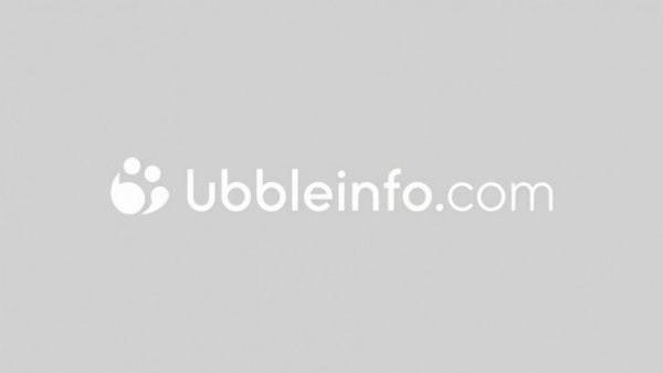 Minimalistic 'bubbleinfo.com' logo in monochrome.