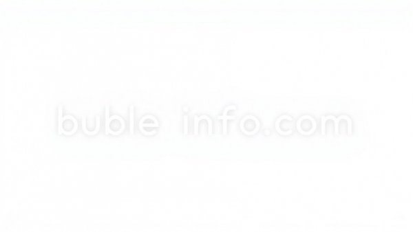 White 'bubbleinfo.com' logo on transparent background.