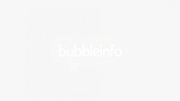 Minimalist bubbleinfo logo with white text