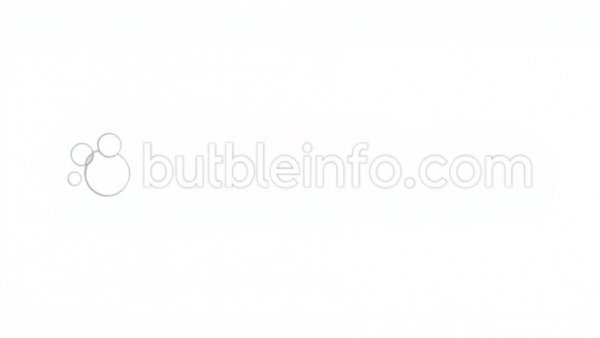 Minimalist logo of bubbleinfo.com, modern design.