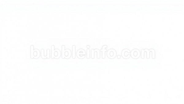 Minimalistic logo for 'bubbleinfo.com', homebuyer assistance resource