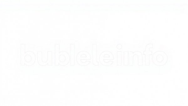 Minimalist 'bubbleinfo.com' logo on transparent background.
