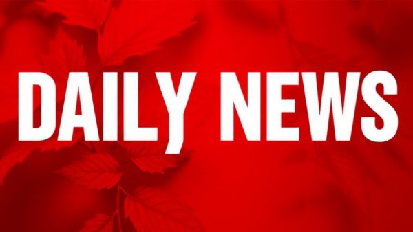 Daily News logo with red background and abstract design.