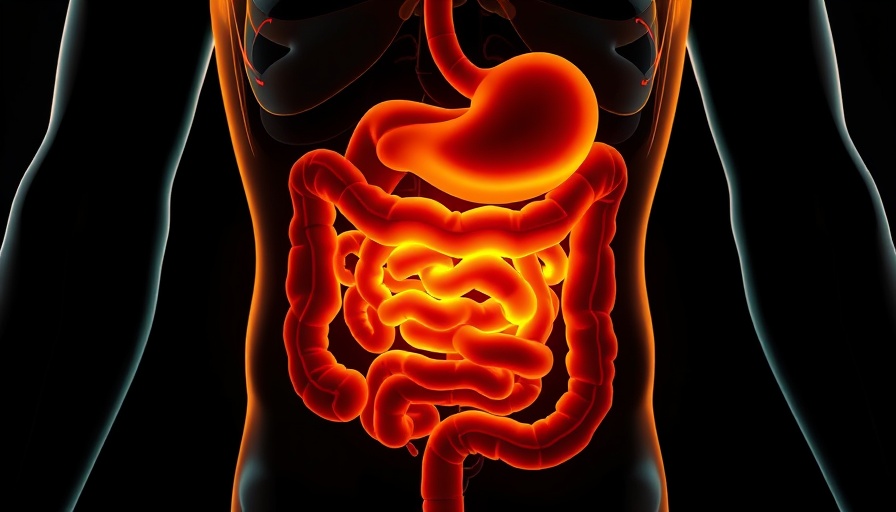 Human digestive system illustration highlighting gut inflammation.