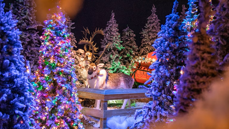 12 Days of Winter Wellness: Simple Steps for a Healthier Season