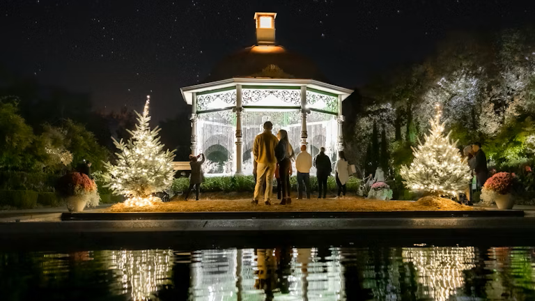 12 Days of Winter Wellness: Simple Steps for a Healthier Season