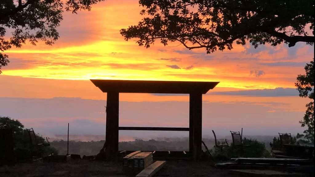 View of lush Texas National Forests through graffitied wall hole.