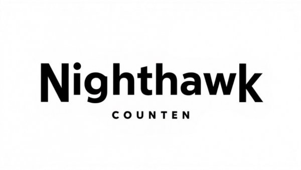 Nighthawk Custom logo with 'One Gun, One Gunsmith' tagline on white background.