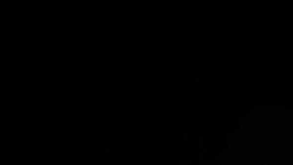 Silhouette emphasizing tension, linked to mass stabbing in WA.