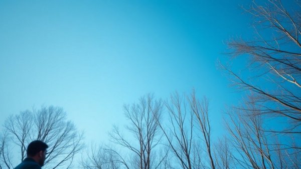 Minimalist blue sky and bare trees, touch grass take a walk day theme.