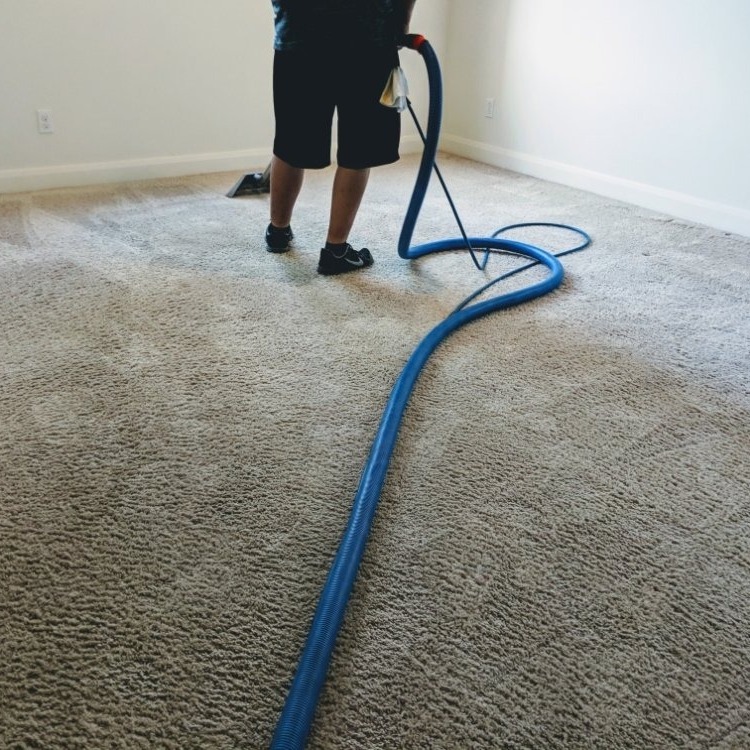 carpet cleaner at work