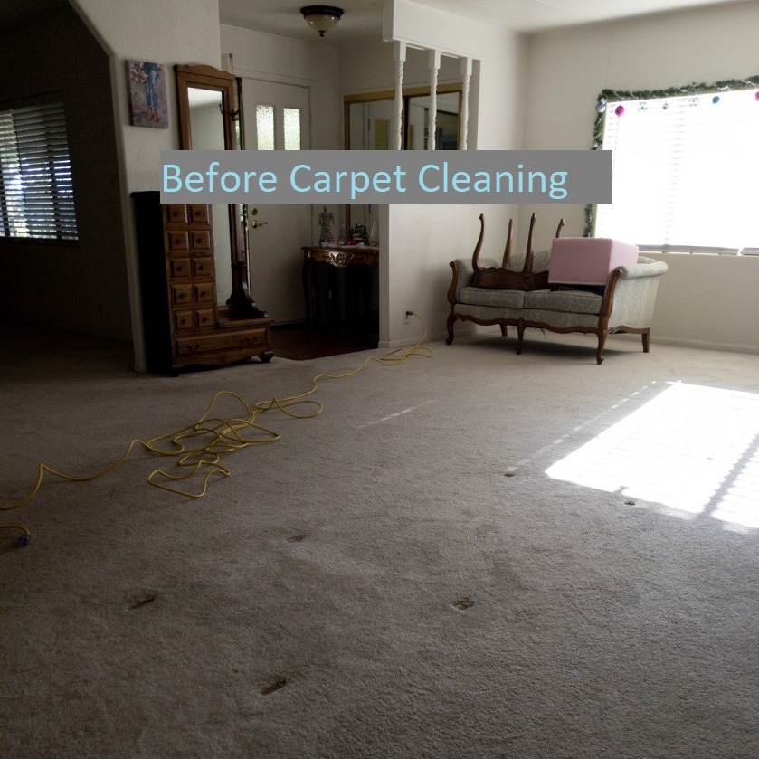 photo before remove old urine stains from carpet in Upland