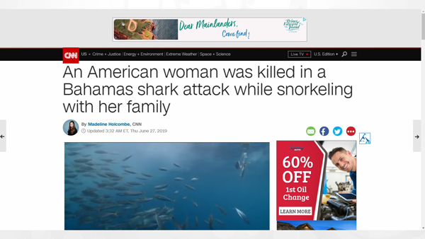 Another Example of Display Advertising with Images
