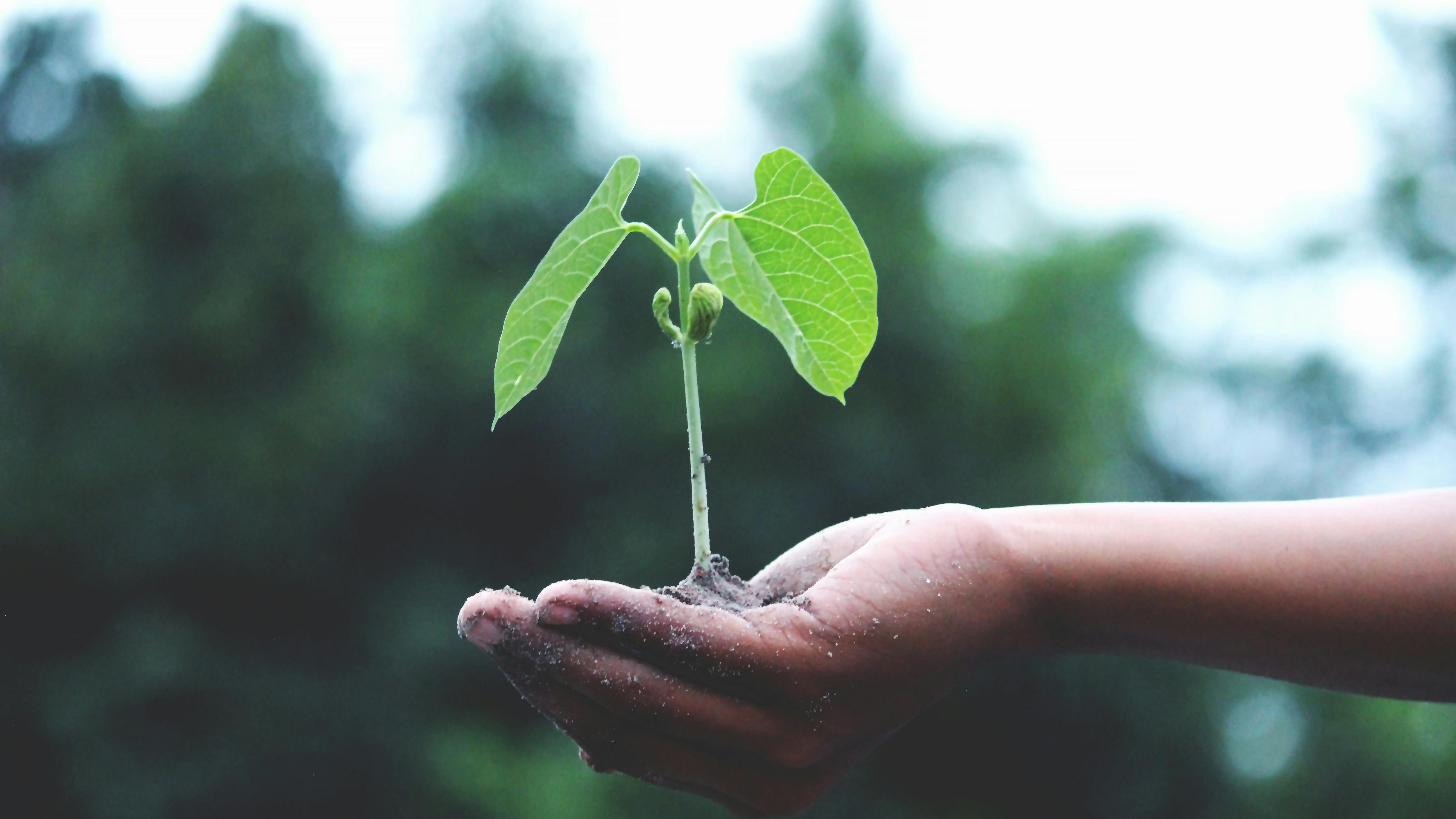 Podcast cover on nature-positive business strategies.