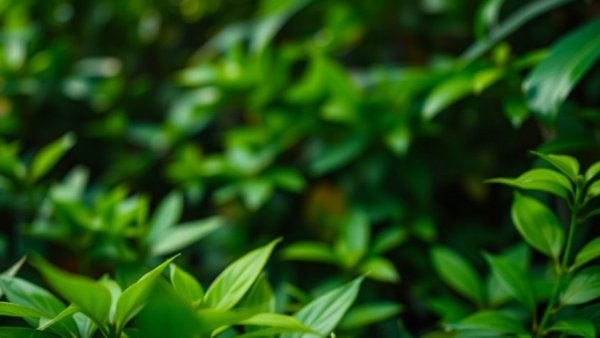 Close-up of lush green foliage with bold text.