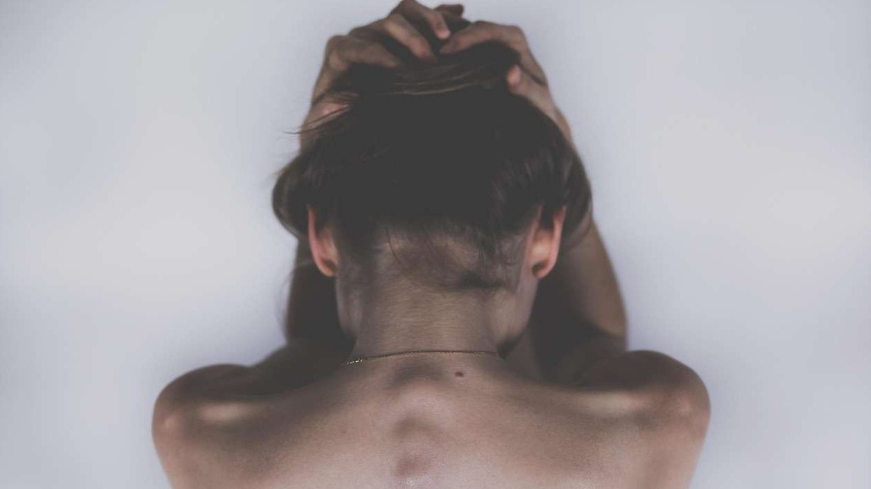 Lush green field with poppy pods symbolizes opioid production.