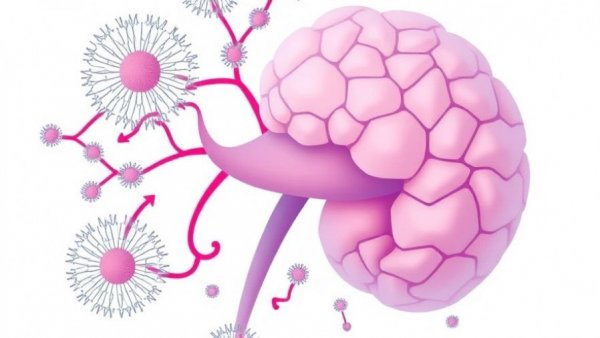 Unravelling targeted therapy in prostate cancer: from molecular mechanisms to translational opportunities