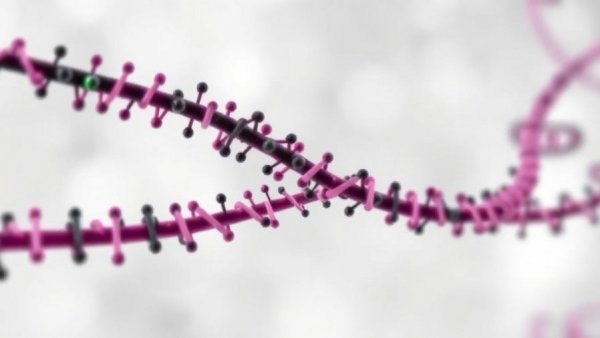 The circRNA circKNSTRN promotes breast cancer progression by modulating the miR-320a-3p/SPAG5 axis